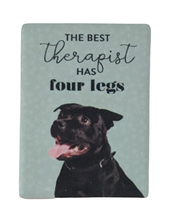 Splosh Ceramic Fridge Magnets - Dogs