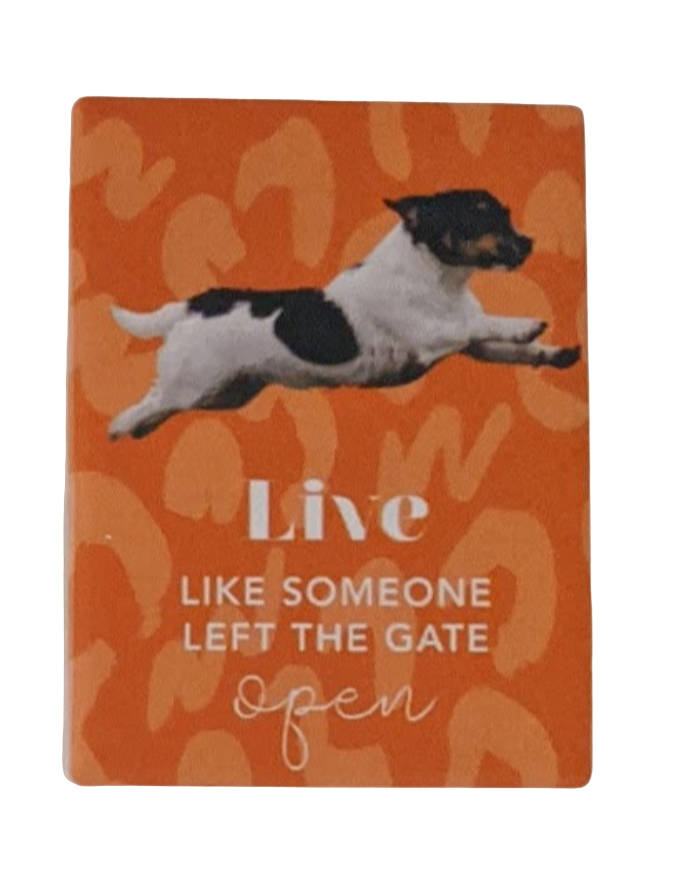 Splosh Ceramic Fridge Magnets - Dogs