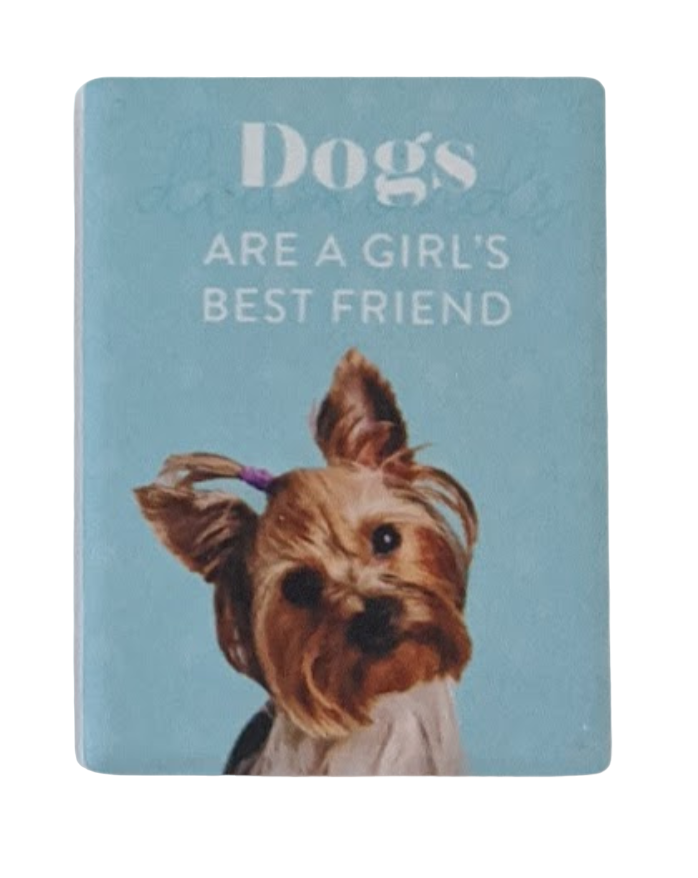 Splosh Ceramic Fridge Magnets - Dogs