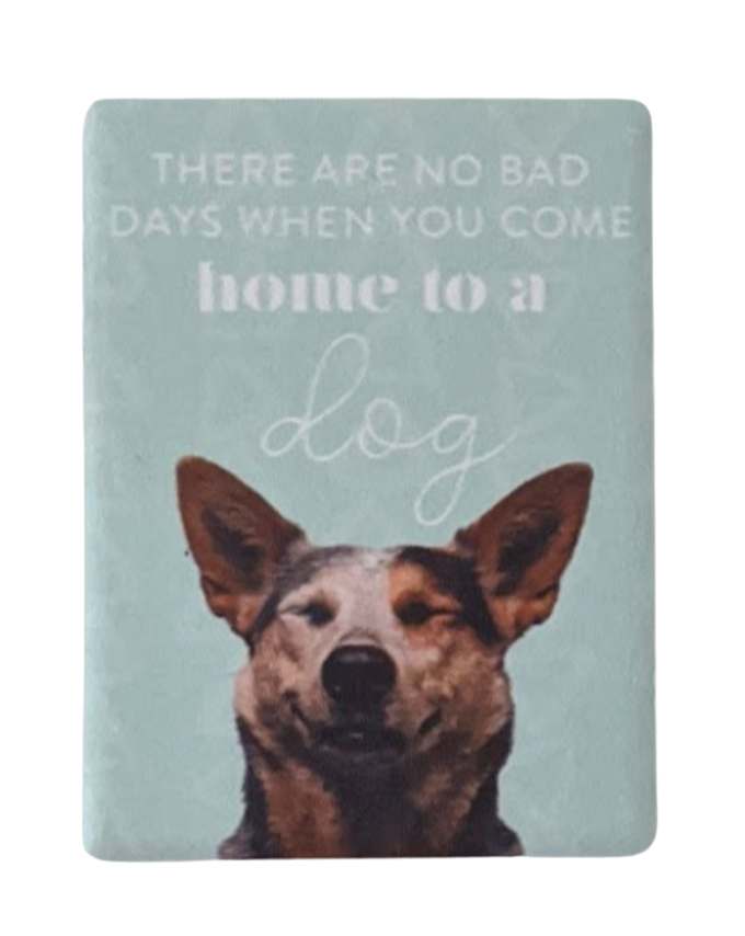 Splosh Ceramic Fridge Magnets - Dogs