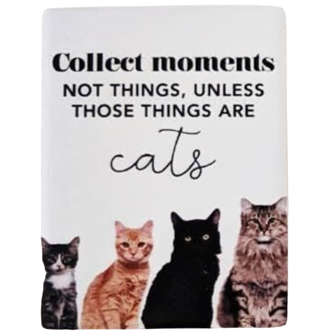 Splosh Ceramic Fridge Magnets - Cats