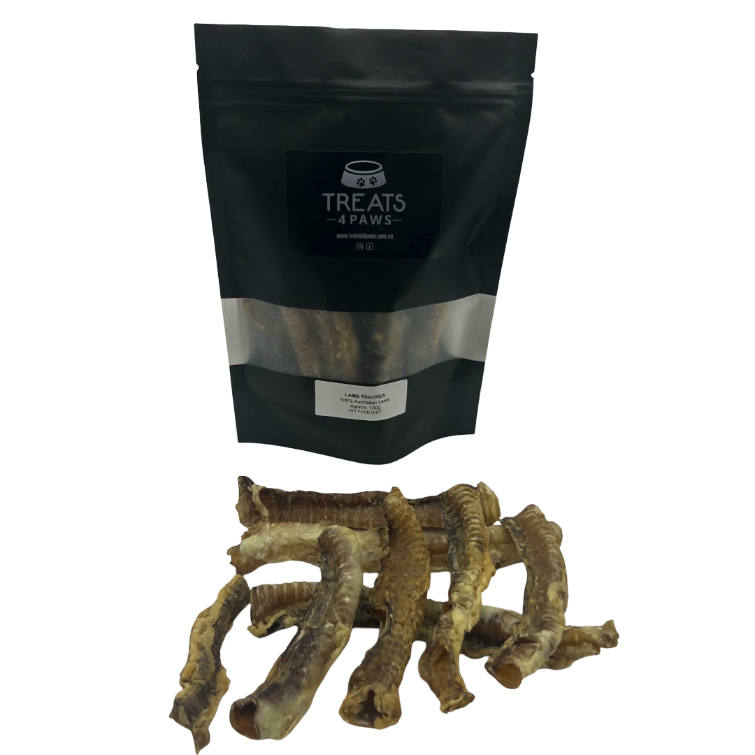Lamb Trachea