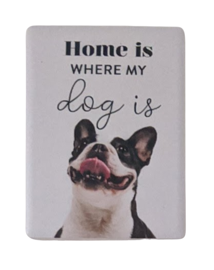 Splosh Ceramic Fridge Magnets - Dogs