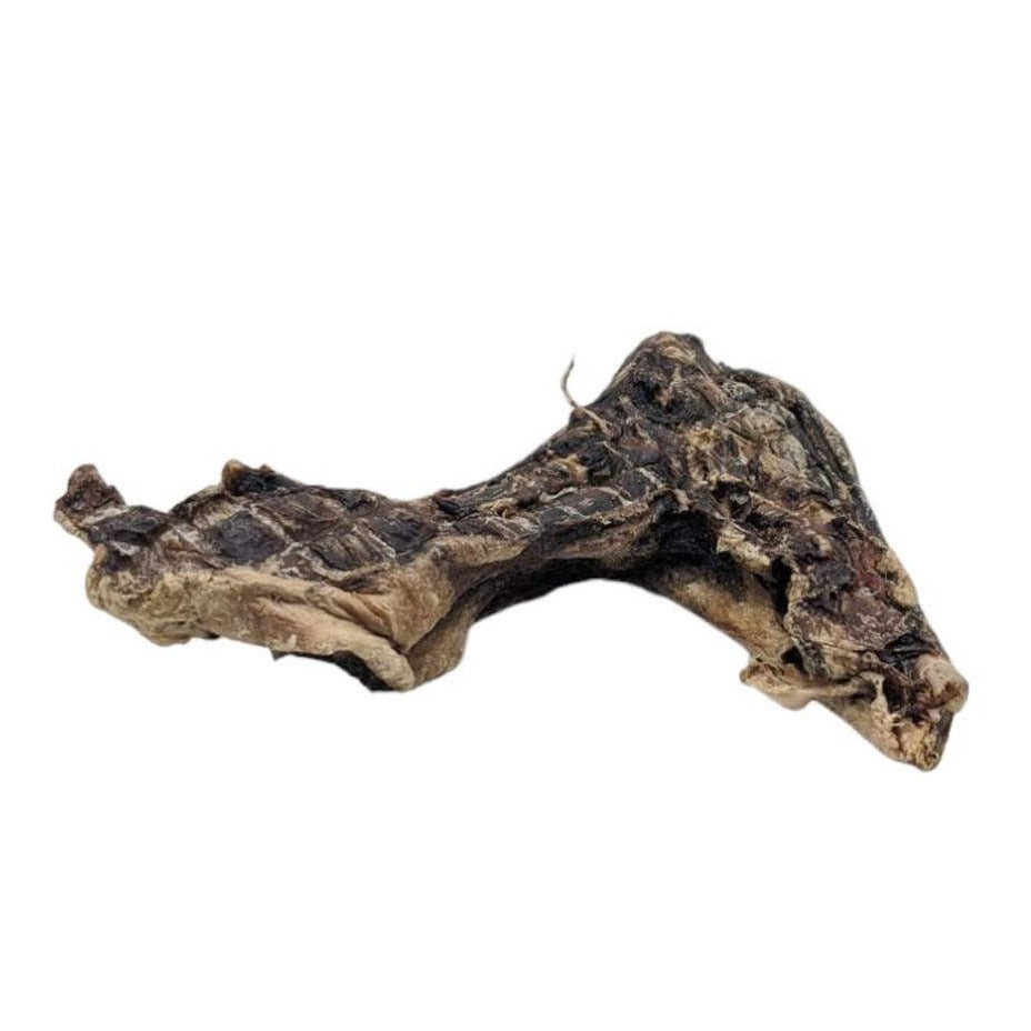 Kangaroo Boomerangs