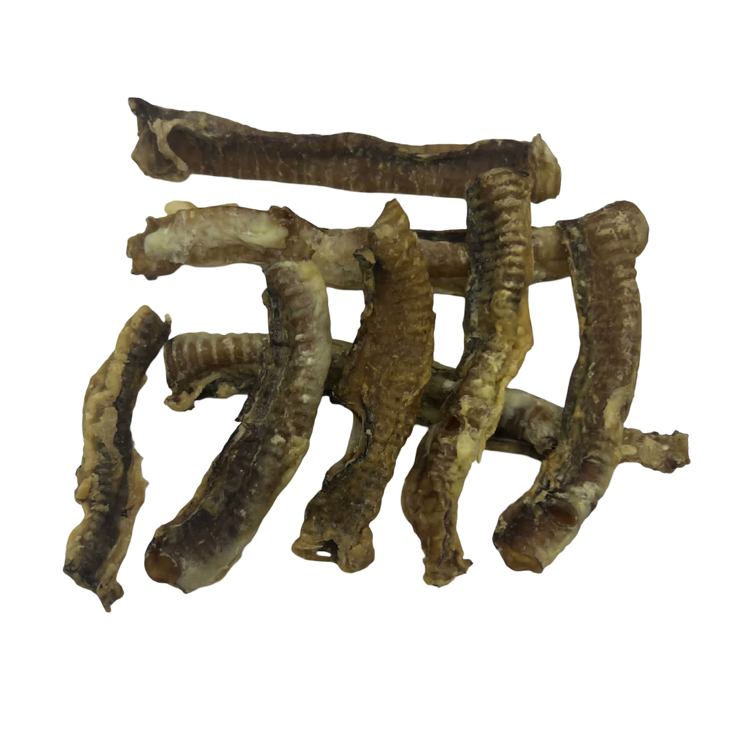 Lamb Trachea